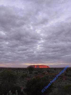 Uluru Ayer's Rock Australia at sunset